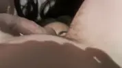 сидит очком на лице  брюнетки