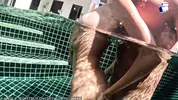 шпилит стройняшку сзади стоя
