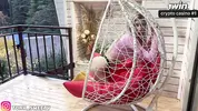 позирует перед фотографом в кресле коконе