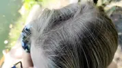 похотливая незнакомка сосет член случайному прохожему