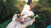 активным футджобом на природе доводит до финала